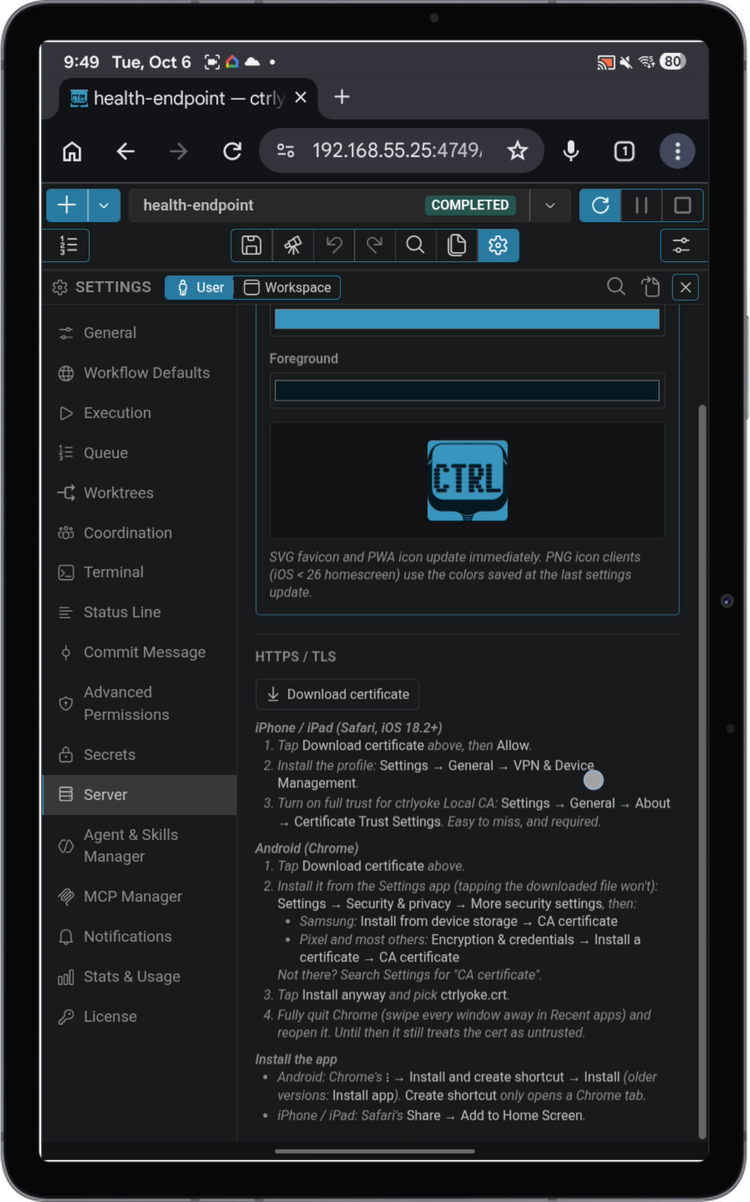 ctrlyoke Server settings in Chrome with the Download certificate button